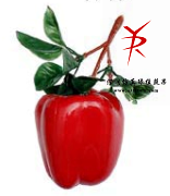 串1红菜椒