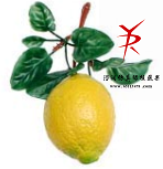 串1黄柠檬