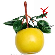 串1黄苹果
