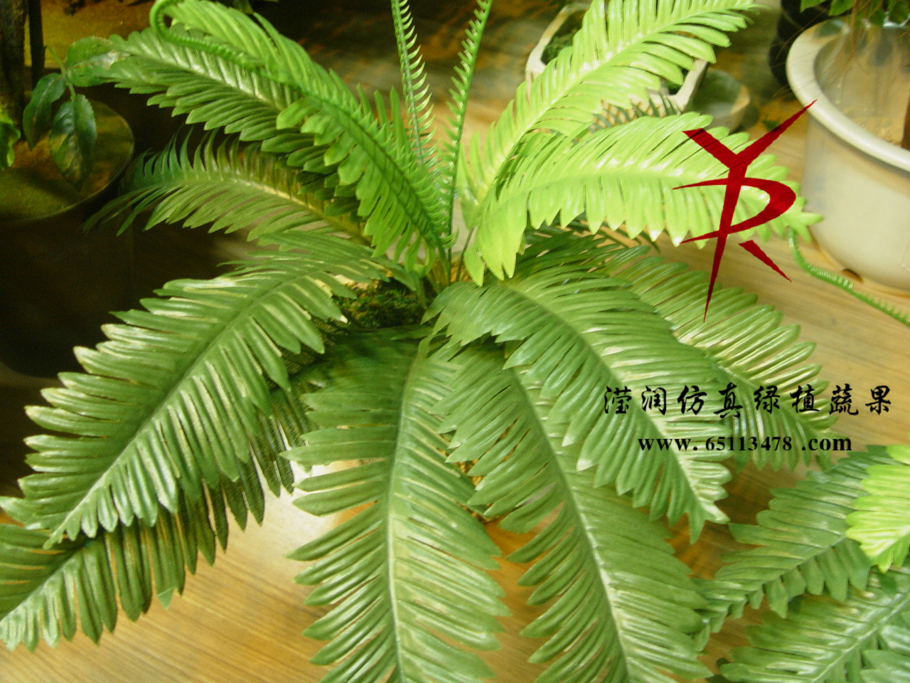 20公分中号铁叶
